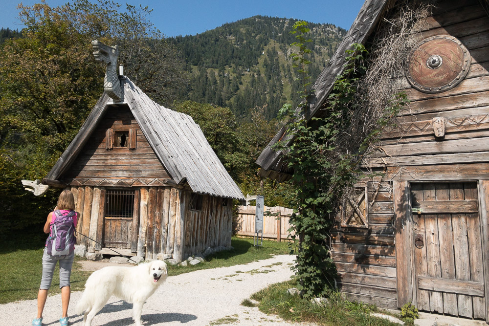 Pyrenäenberghund - 19. September 2020 - Spaziergang Walchensee