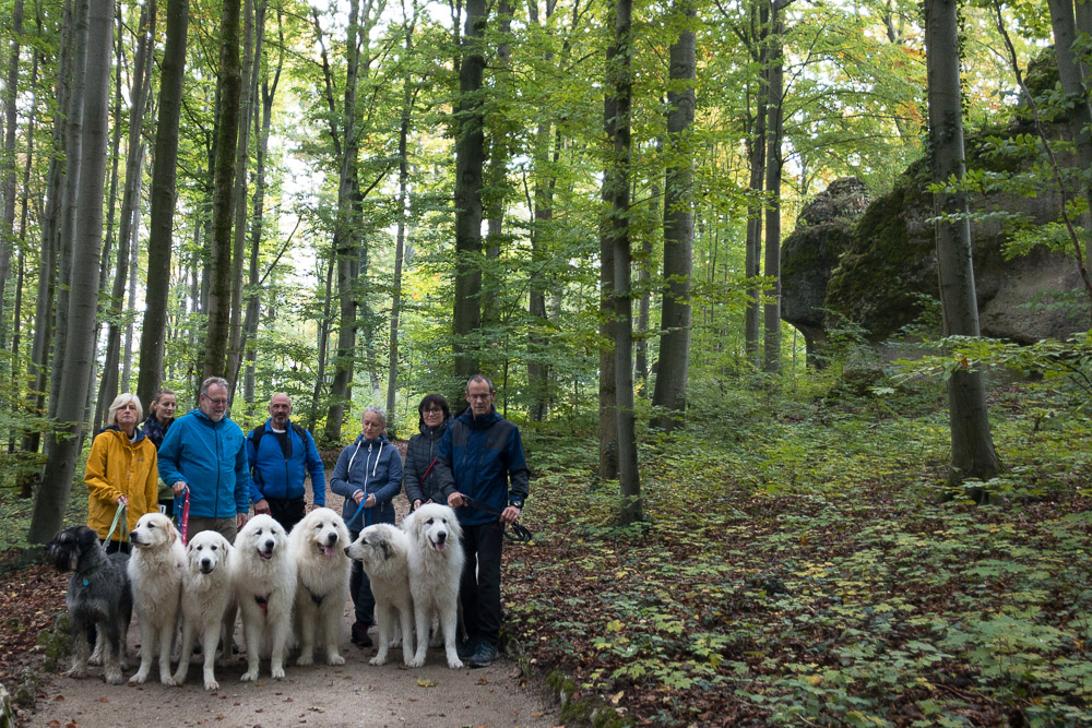 Pyrenäenberghund - Wanderung Sanspeareil 2020