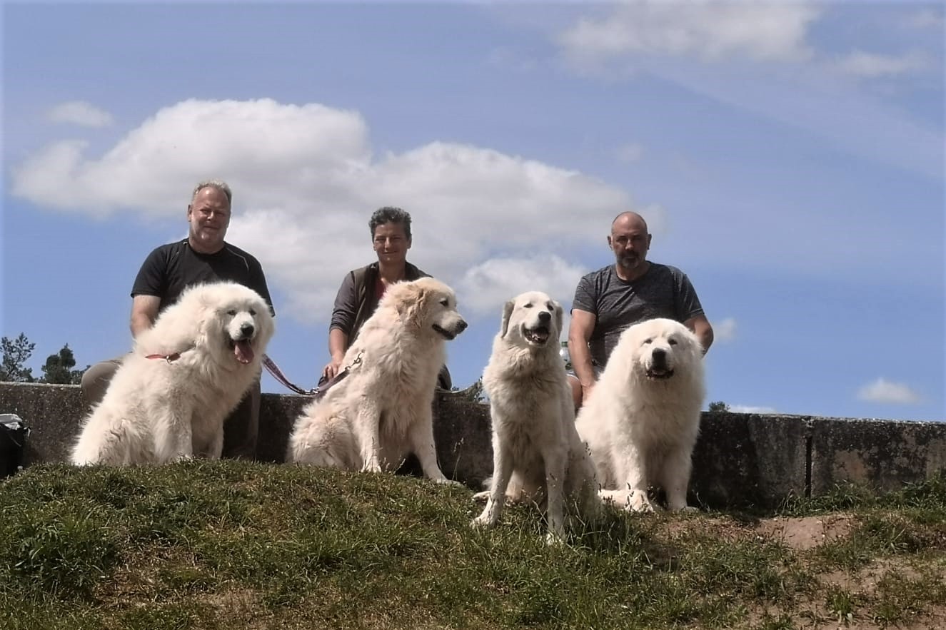 Pyrenäenberghund - 13. Juni 2020 - 31. Mai 2020 - Wanderung mit Hadrien und Dina - Gruppenbild