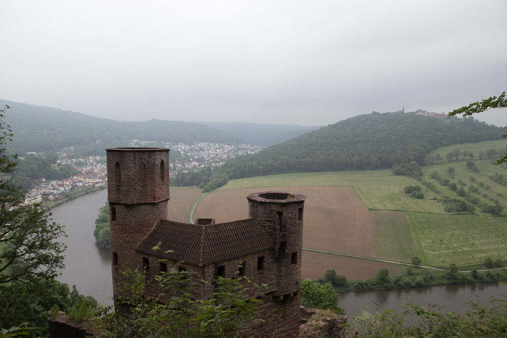 Pyrenäenberghund - 06. Juni 2021 - Spaziergang „6 Burgen am Neckar“