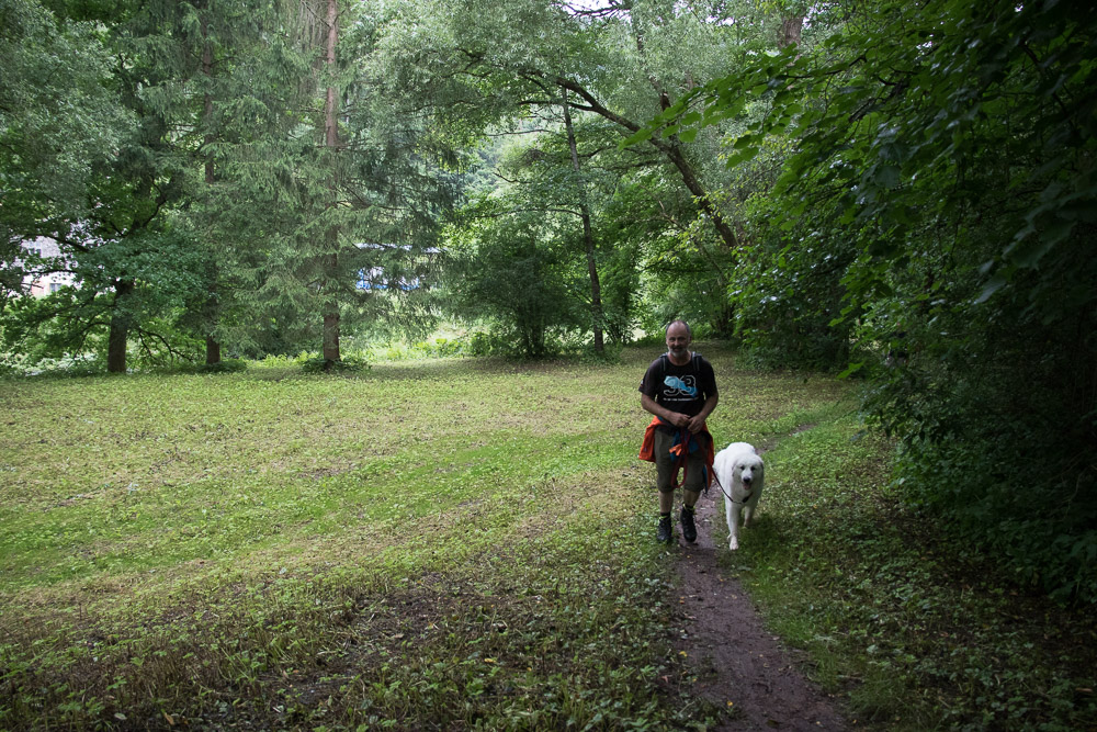 Pyrenäenberghund - 11. Juli 2021 - Spaziergang bei Calw