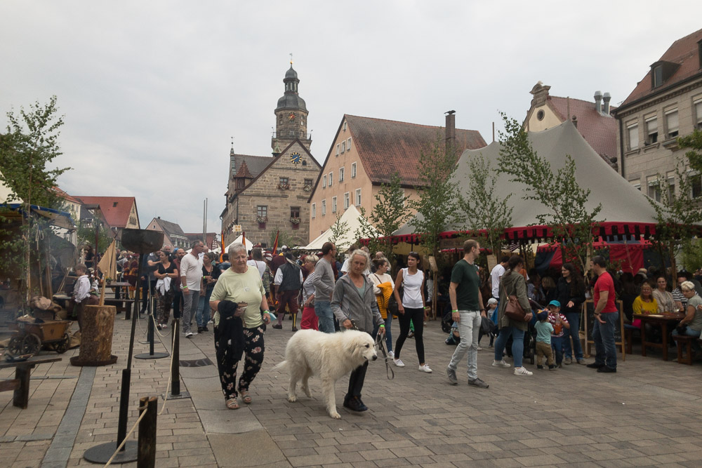 Pyrenäenberghund - 09. Juli 2022 - Besuch in Wallensteins Lager in Altdorf
