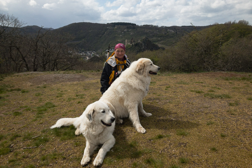 Pyrenäenberghund - 02./04. Mai 2021 - Zwei Wandertage auf dem Ahrsteig - Gruppenbild