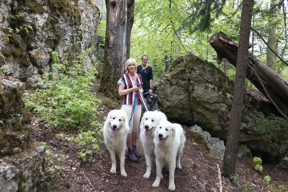 Pyrenäenberghund - 10. Mai 2021 - Spaziergang Lichtenegg mit Fuchur und Sam - Gruppenbild
