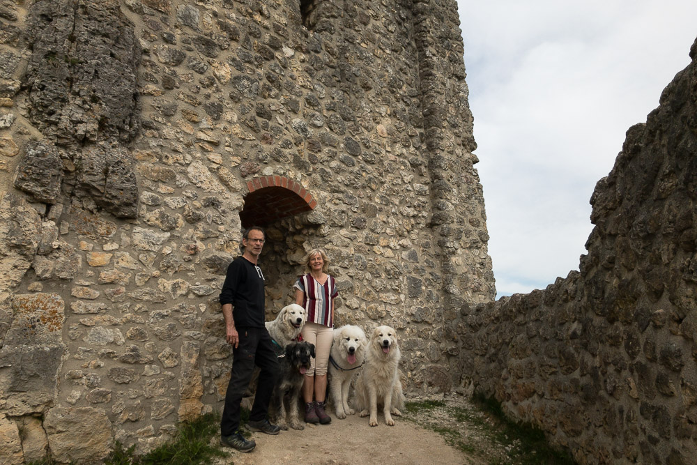 Pyrenäenberghund - 10. Mai 2021 - Spaziergang Lichtenegg mit Fuchur und Sam