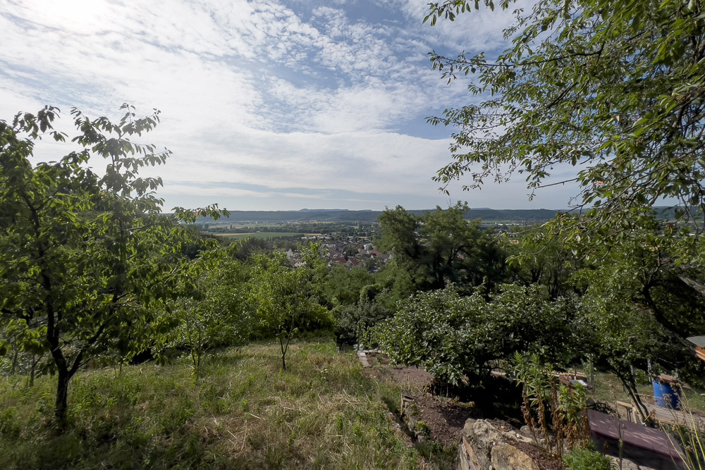 Pyrenäenberghund - 23. Juli 2023 - Spaziergang Wurmlinger Kapelle (Rottenburg am Neckar)