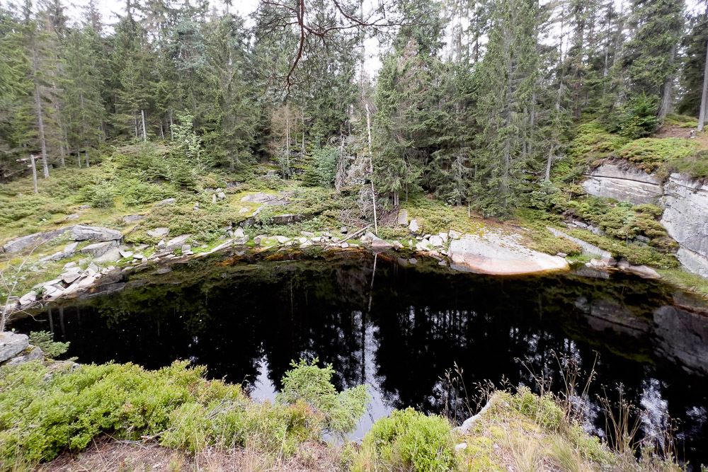 Pyrenäenberghund - 05. August 2023 - Spaziergang Schönlind (Wunsiedel/Fichtelgebirge)