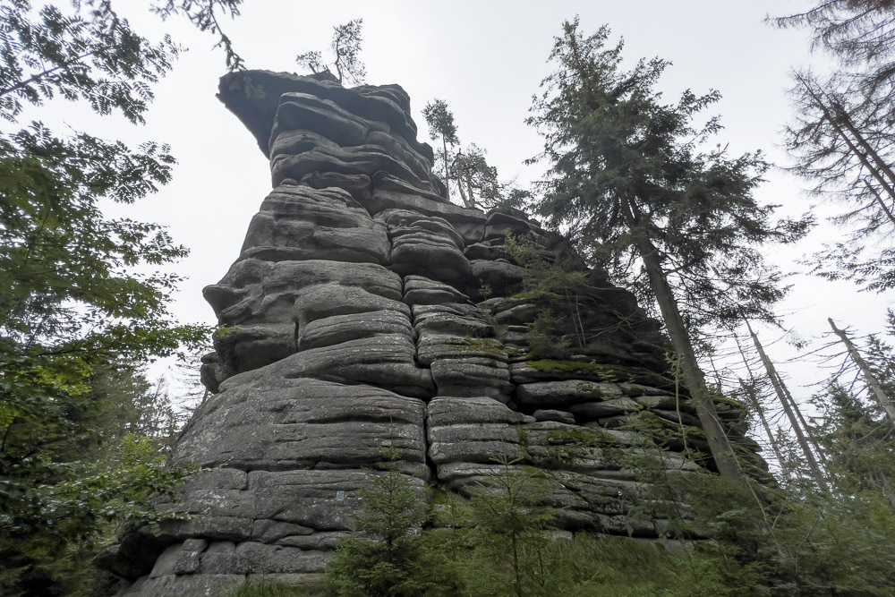 Pyrenäenberghund - 05. August 2023 - Spaziergang Schönlind (Wunsiedel/Fichtelgebirge)