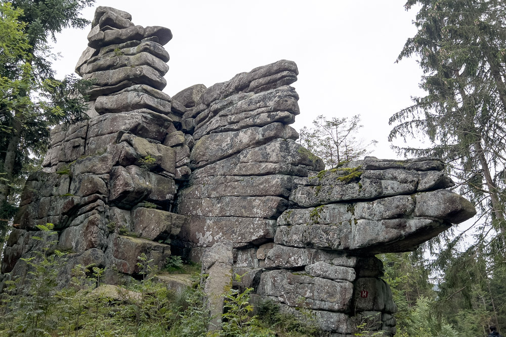 Pyrenäenberghund - 05. August 2023 - Spaziergang Schönlind (Wunsiedel/Fichtelgebirge)