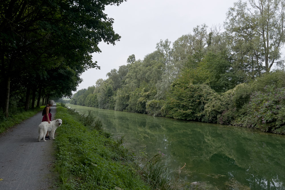 Pyrenäenberghund - 17.-20. August 2023 - St. Quentin (Nordfrankreich)