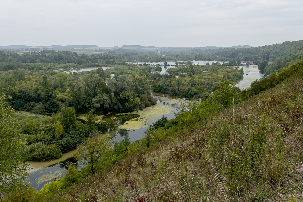 Pyrenäenberghund - 17.-20. August 2023 - St. Quentin (Nordfrankreich)