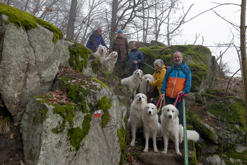 News und Bilder vom Pyrenäenberghund Welpentreffen 2023 - Gruppenbild