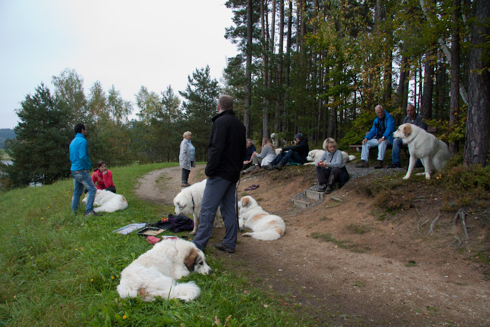 News und Bilder vom Pyrenäenberghund Welpentreffen 2010 - Wohlverdiente Pause