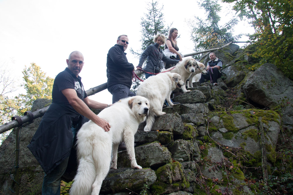 News und Bilder vom Pyrenäenberghund Welpentreffen 2010 - Berghunde ...