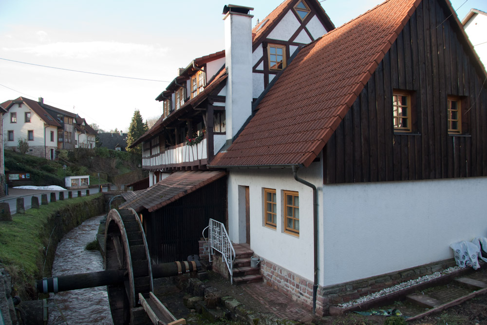 Pyrenäenberghund - Zu Besuch bei Basil - Januar 2011 - Auf dem Rückweg durch Michelbach